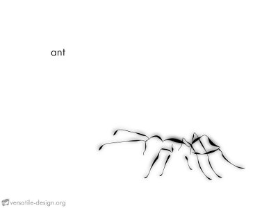 ant