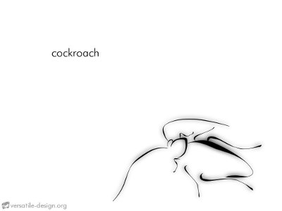 cockroach